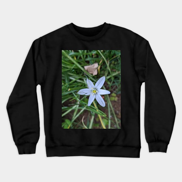 Star of Bethlehem 1 Crewneck Sweatshirt by AustaArt